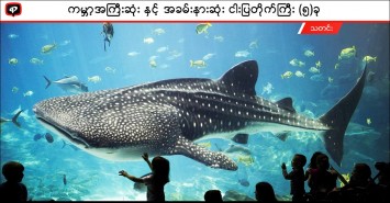 ကမ္ဘာ့အကြီးဆုံးနှင့်အခမ်းနားဆုံး ငါးပြတိုက်ကြီး (၅) ခု