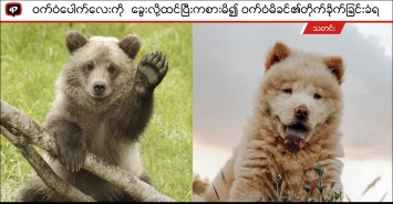 Responsive image