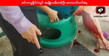 စင္ကာပူနိုင္ငံတြင္ အမ်ိဳးသမီးတစ္ဦး ေတာဝက္ပက္ခံရ