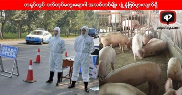 တ႐ုပ္တြင္ ဝက္တုပ္ေကြးေရာဂါ အသစ္တစ္မ်ိဳး ပ်ံ႕ႏွံ့ျဖစ္ပြားလၽွက္ရွိ