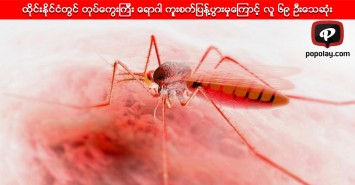 ထိုင္းႏိုင္ငံတြင္ တုပ္ေကြးၾကီး ေရာဂါ ကူးစက္ျပန္႔ပြားမွုေၾကာင့္ လူ ၆၉ ဦးေသဆုံး