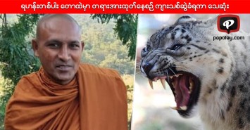 ရဟန္းတစ္ပါး ေတာထဲမွာ တရားအားထုတ္ေနစဥ္ က်ားသစ္ဆြဲခံရကာ ေသဆုံး