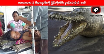 ကေလးေဇာ နဲ့ မီးေက်ာင္းကို ျပန္ကိုက္ပီး နပန္းလံုးခဲ့တဲ့ ဖခင္