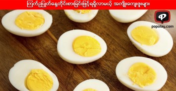 ကြက်ဥပြုတ်နေ့တိုင်းစားခြင်းဖြင့်ရရှိလာမယ့် အကျိုးကျေးဇူးများ