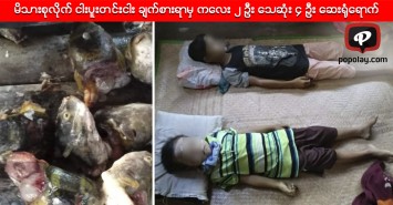 မိသားစုလိုကျ ငါးပူးတငျးငါး ခကြျစားရာမှ ကလေး ၂ ဦး သဆေုံး ၄ ဦး ဆေးရုံရောကျ