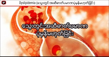 Dyslipidemia (သွေးတွင်းအဆီဓာတ်ပမာဏပုံမှန်မဟုတ်ခြင်း)